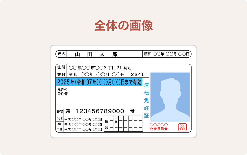 全体の画像